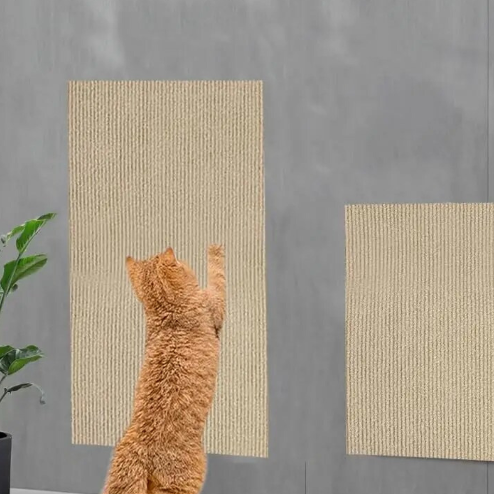 Premium Cat Scratch Guard for Couches - Durable Carpet Protector Mat