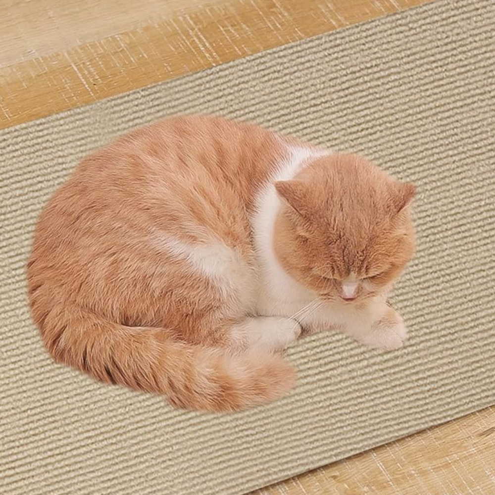 Premium Cat Scratch Guard for Couches - Durable Carpet Protector Mat