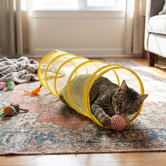 Cat Tunnel lifestyle