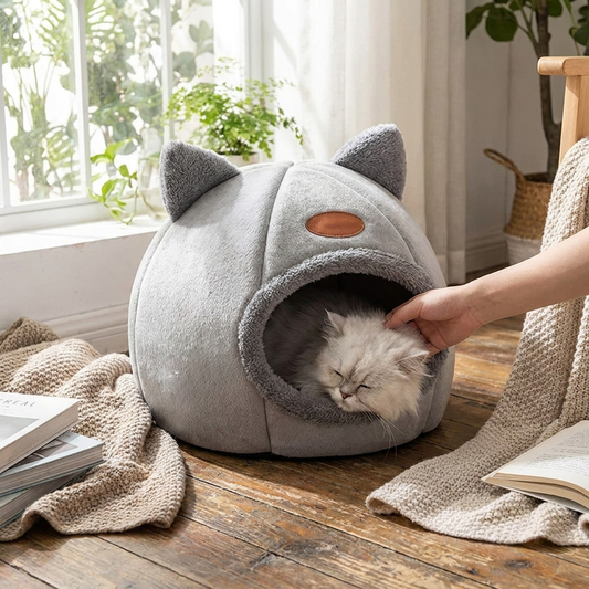 Cat Cave lifestyle