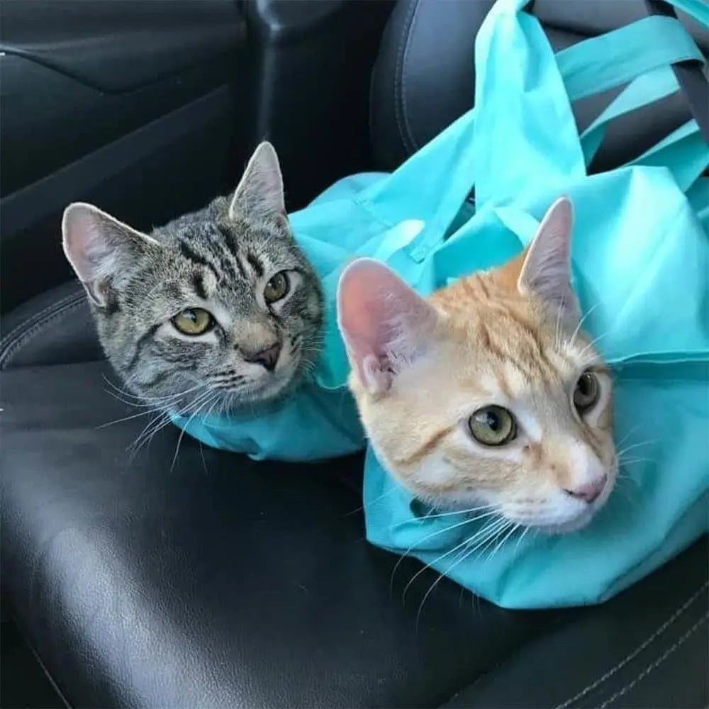 Scratch-Resistant Travel Cat Carrier Pouch