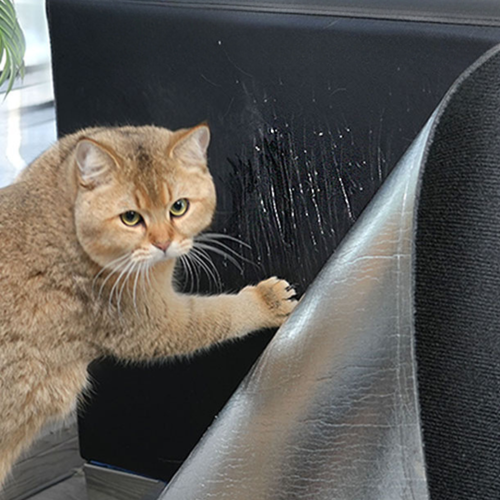 Premium Cat Scratch Guard for Couches - Durable Carpet Protector Mat