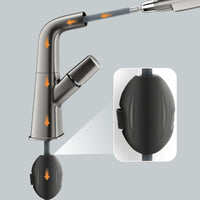 Single-Hole Basin Tap With Pull-Out Spray Head