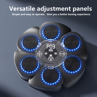 Wireless Music Boxing Machine, USB Rechargeable Wall Target