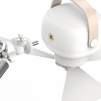 Wireless Celling Fan