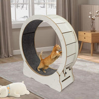 Cat Exercise Wheel