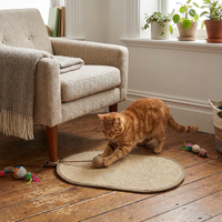 Cat Scratcher Pad lifestyle