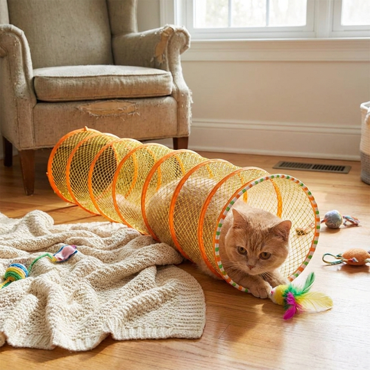Cat Hunting Toys