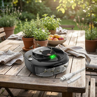 Electric Fly Trap