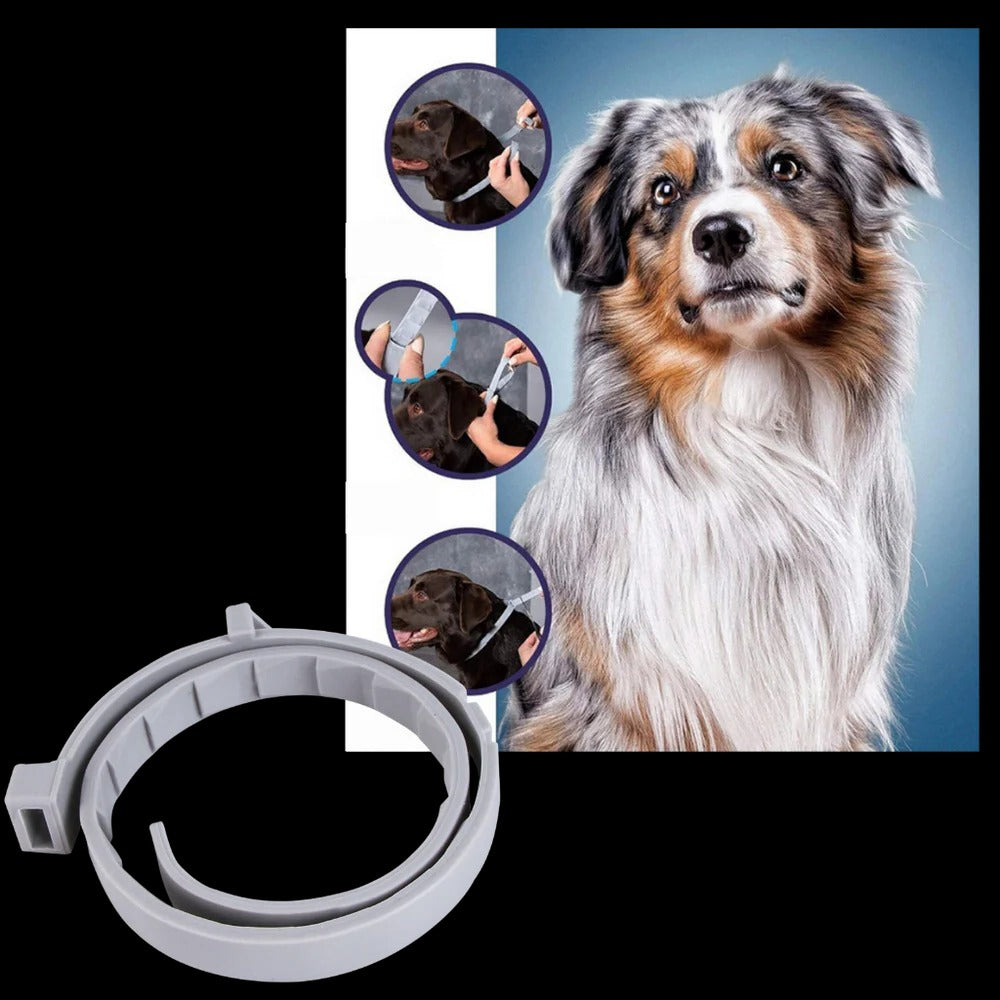 Parasite Repellent Pet Collar