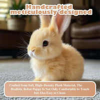 New Arrival Bunny Toy