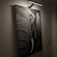 Wireless LED Picture Light