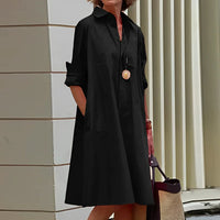 Stylish Polo Dress