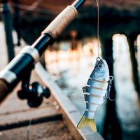 Swimming Lure