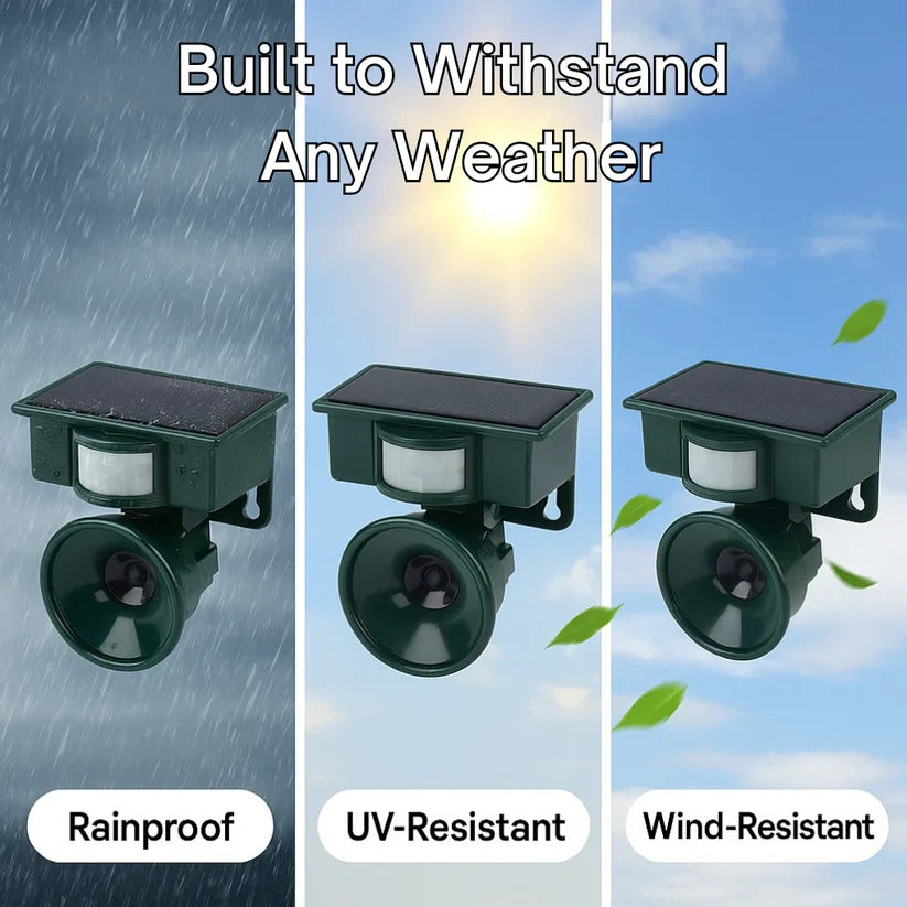 Motion Sensor Bird Deterrent for Crows: Ideal Pigeon Repeller with Sound Scarer