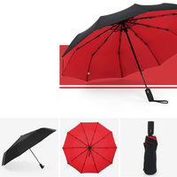 Windproof Umbrella