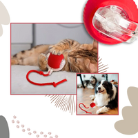 Smart Interactive Cats Ball Toy