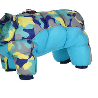 Water-Resistant Dog Parka & Coat