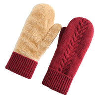 Double-Layer Fleece-Lined Winter Mittens for Maximum Warmth