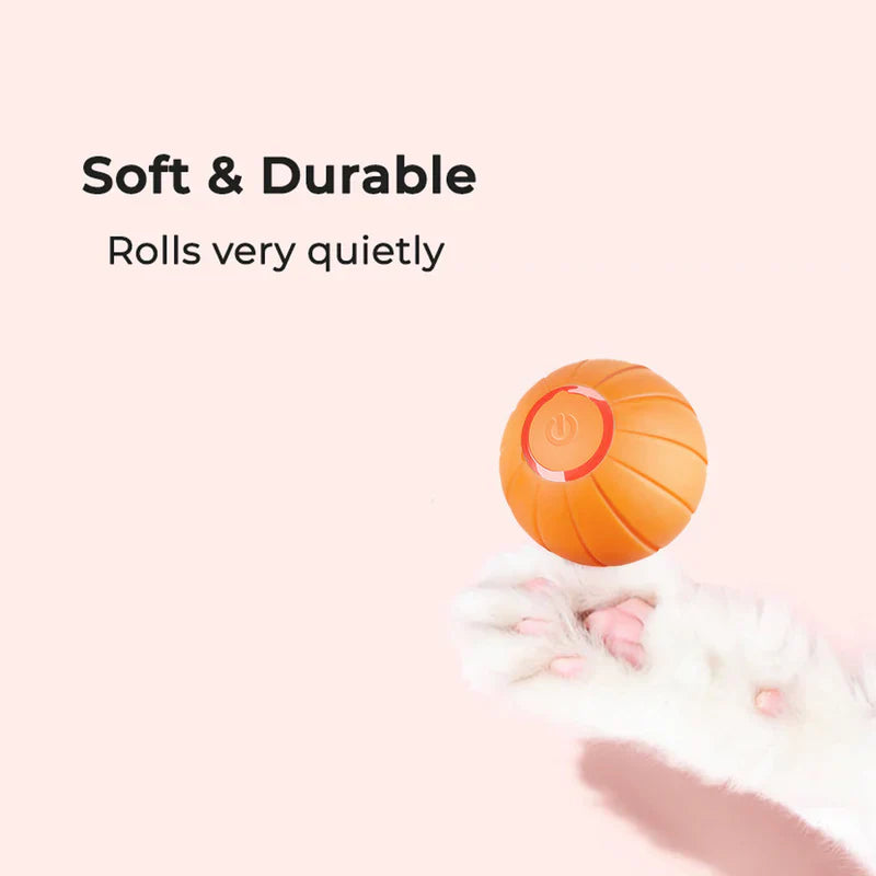 Pet Ball (Special Edition)